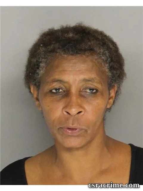 Debra Wooden booking photo