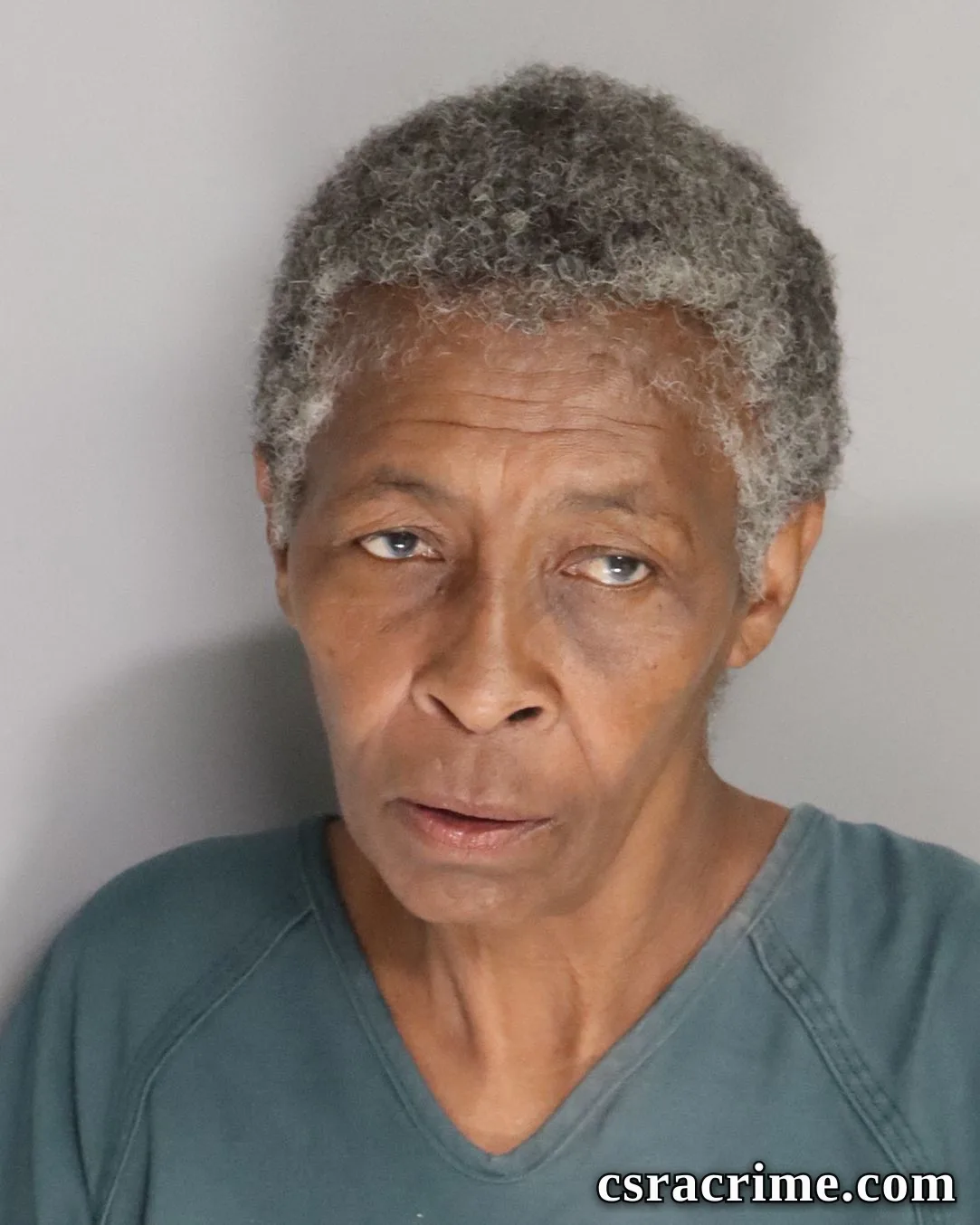 Debra Wooden booking photo