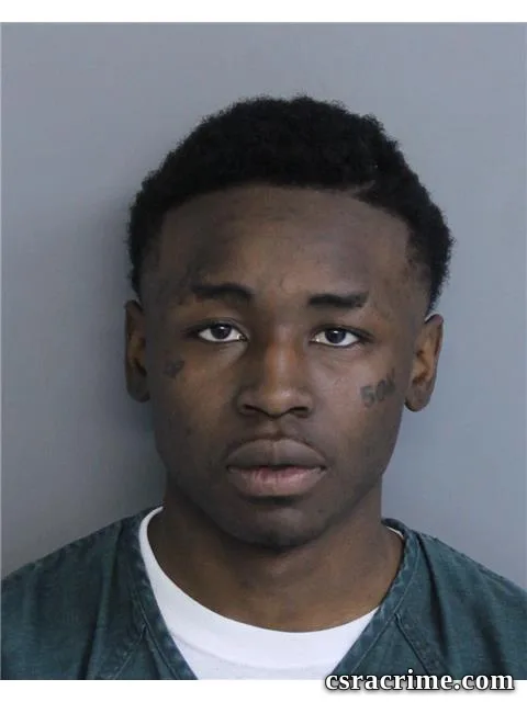 Decavien Williams booking photo