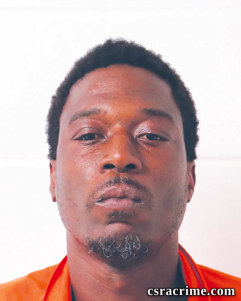 Dedrick Turner booking photo