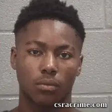 Dekemee Delshad Henley booking photo