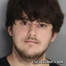 Dekota Ellis booking photo