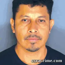Delmar Solis Calvo booking photo
