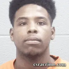 Demarea Smith booking photo