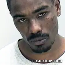 Demaris Lemon booking photo