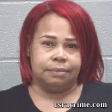 Demetra Ferrell booking photo