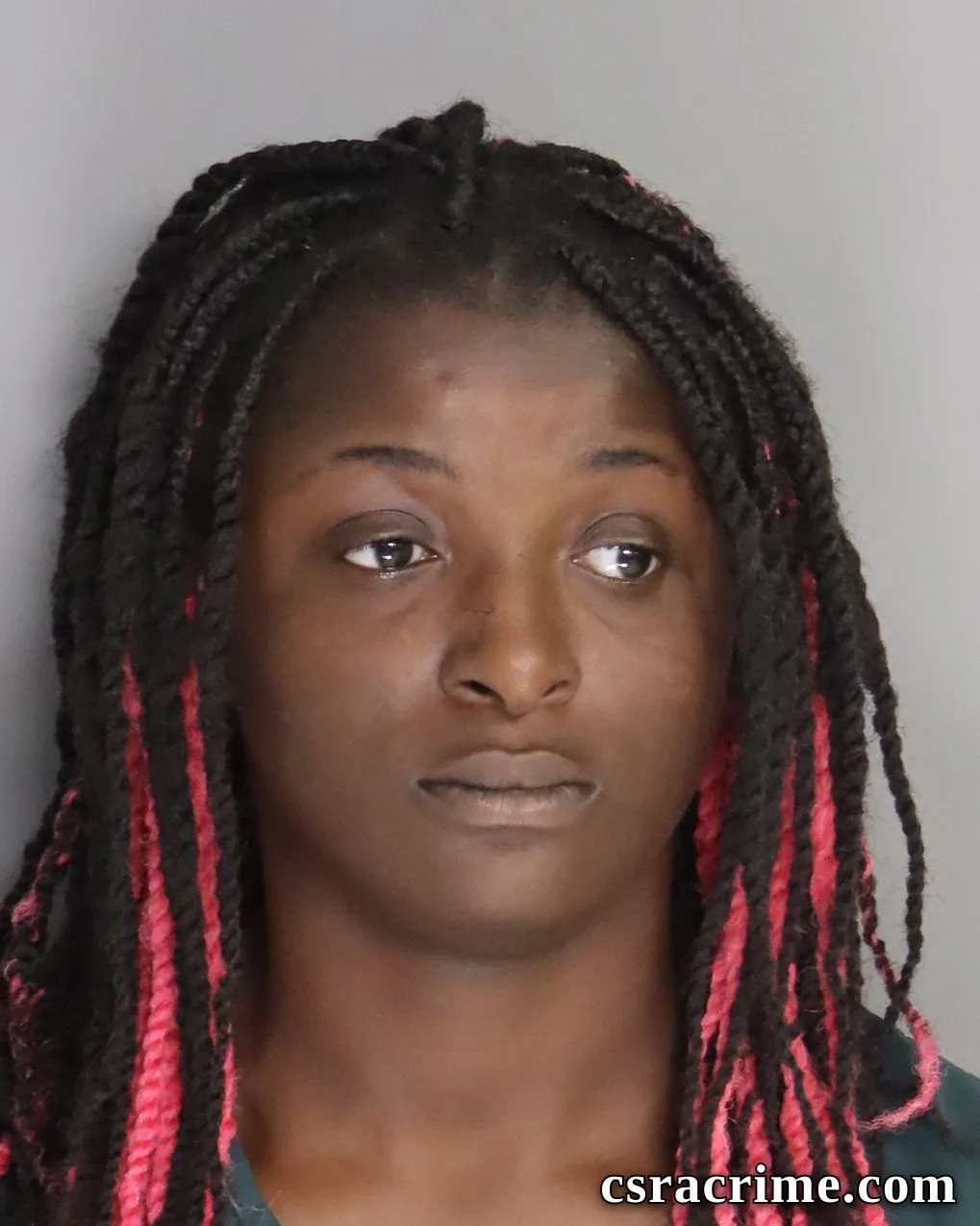Denicia Chandler booking photo