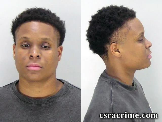 Denijah Johnson booking photo