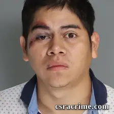 Denilson Sanches-Gonzalez booking photo