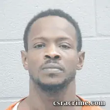 Deniro Wilson booking photo