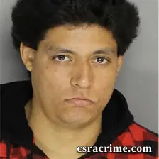 Denis Acosta booking photo