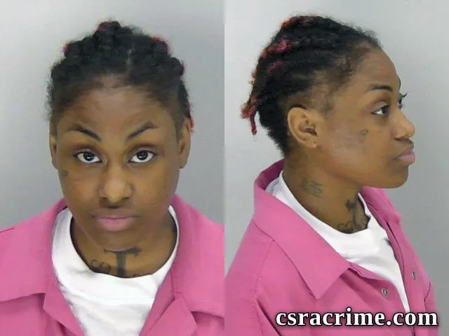 Denise Arrington booking photo
