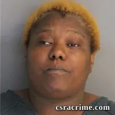 Denise Carter booking photo