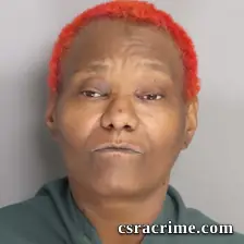 Denise Carter booking photo