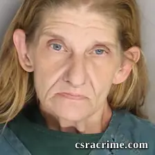 Denise Herlong booking photo