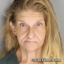 Denise Herlong booking photo