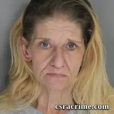 Denise Herlong booking photo