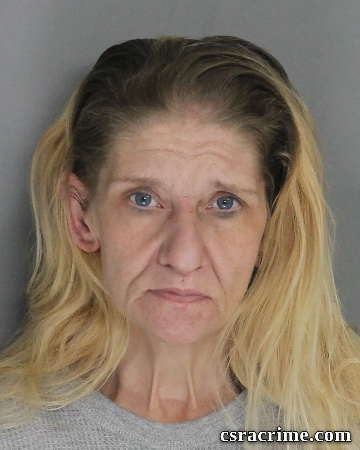 Denise Herlong booking photo