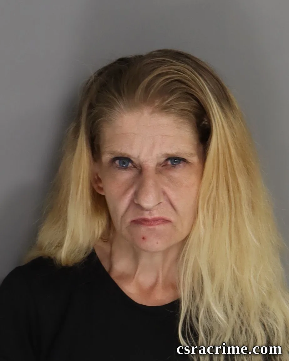 Denise Herlong booking photo