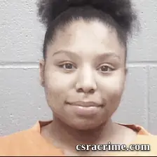 Denise Johnson booking photo