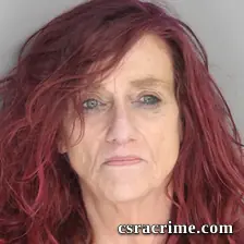 Denise Shaffer booking photo