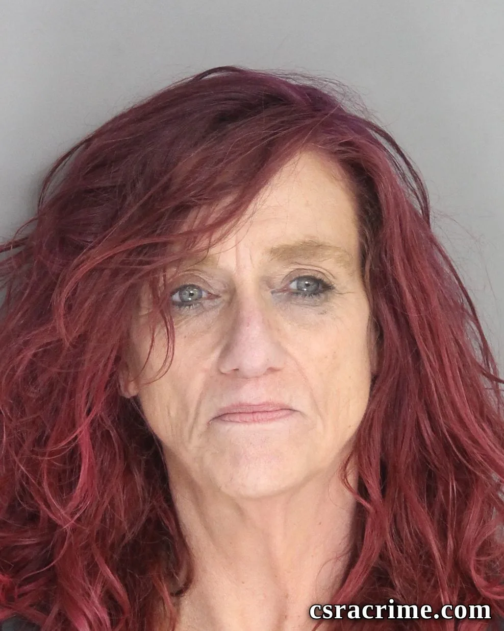Denise Shaffer booking photo