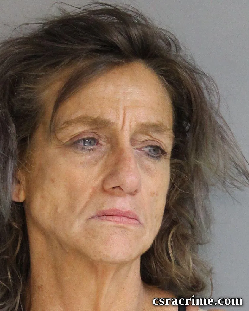 Denise Shaffer booking photo