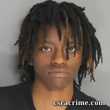 Deniya Whiteside booking photo