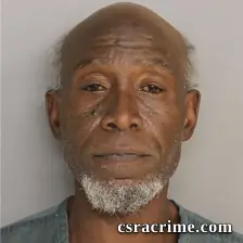 Dennis Fanning booking photo