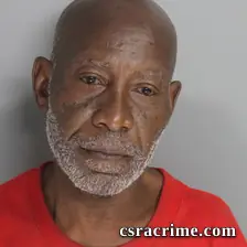 Dennis Fanning booking photo