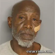 Dennis Fannings booking photo