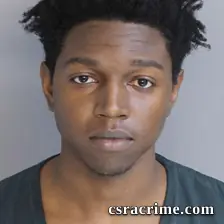 Dennis Wise booking photo