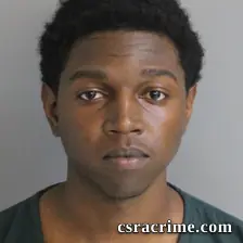Dennis Wise booking photo