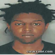 Dennis Wise booking photo