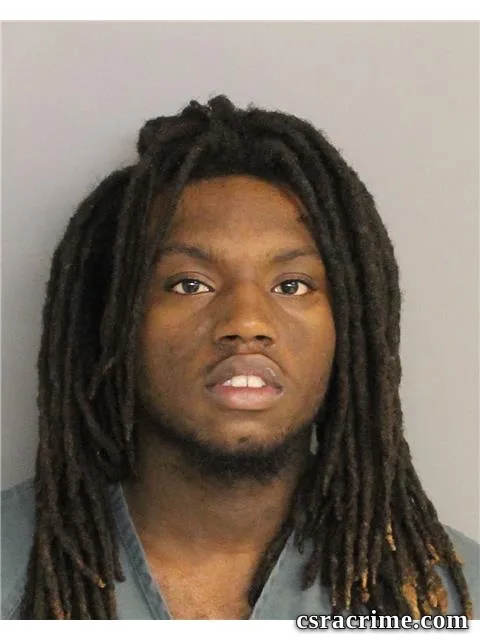 Deonte Schultz booking photo