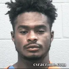 Derrick Mims booking photo