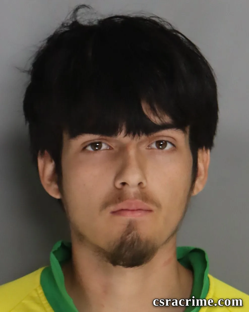 Dery Maldonado Sales booking photo