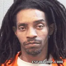 Desi Nash booking photo
