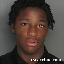 Desmond Green booking photo