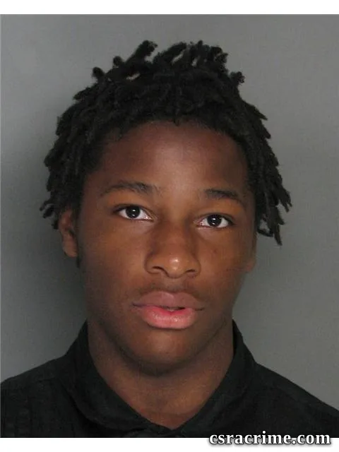 Desmond Green booking photo
