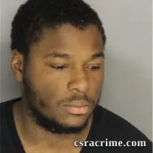 Desmond Green booking photo