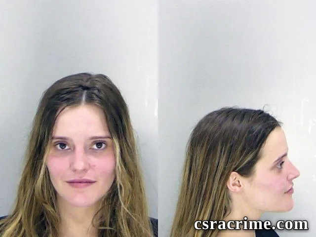 Destanie Stine booking photo
