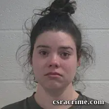 Destiny Janae Gibson booking photo
