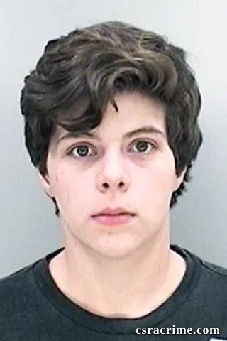 Destiny Rigney booking photo