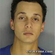 Devan Mealing booking photo