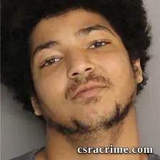 Devan Robinson booking photo