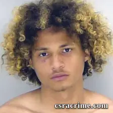 Devayn Grissam booking photo