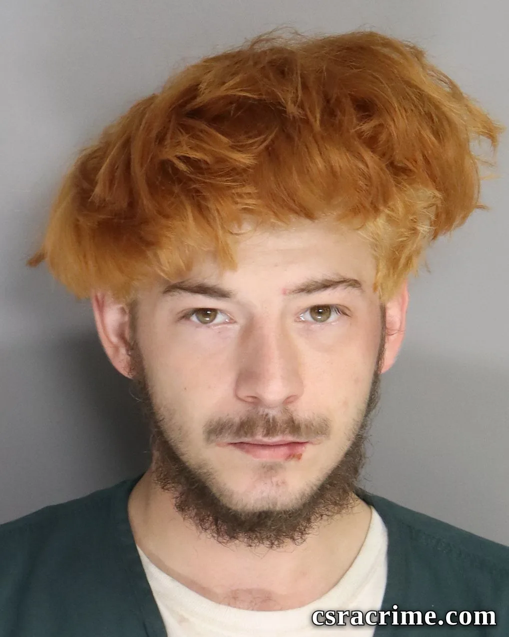Deven Seigler booking photo