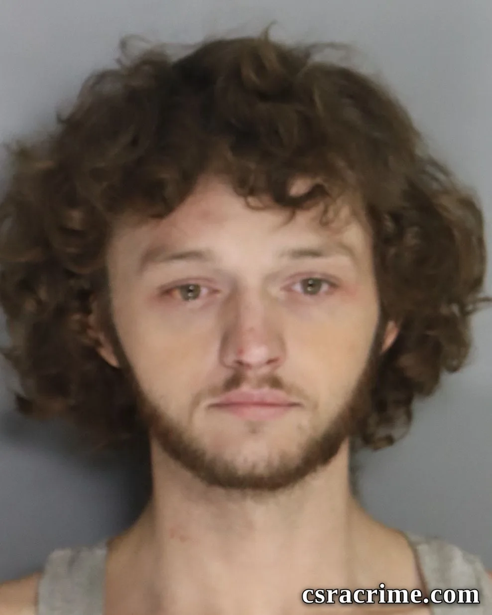 Devin Good booking photo