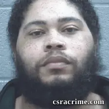 Devin Lovett booking photo